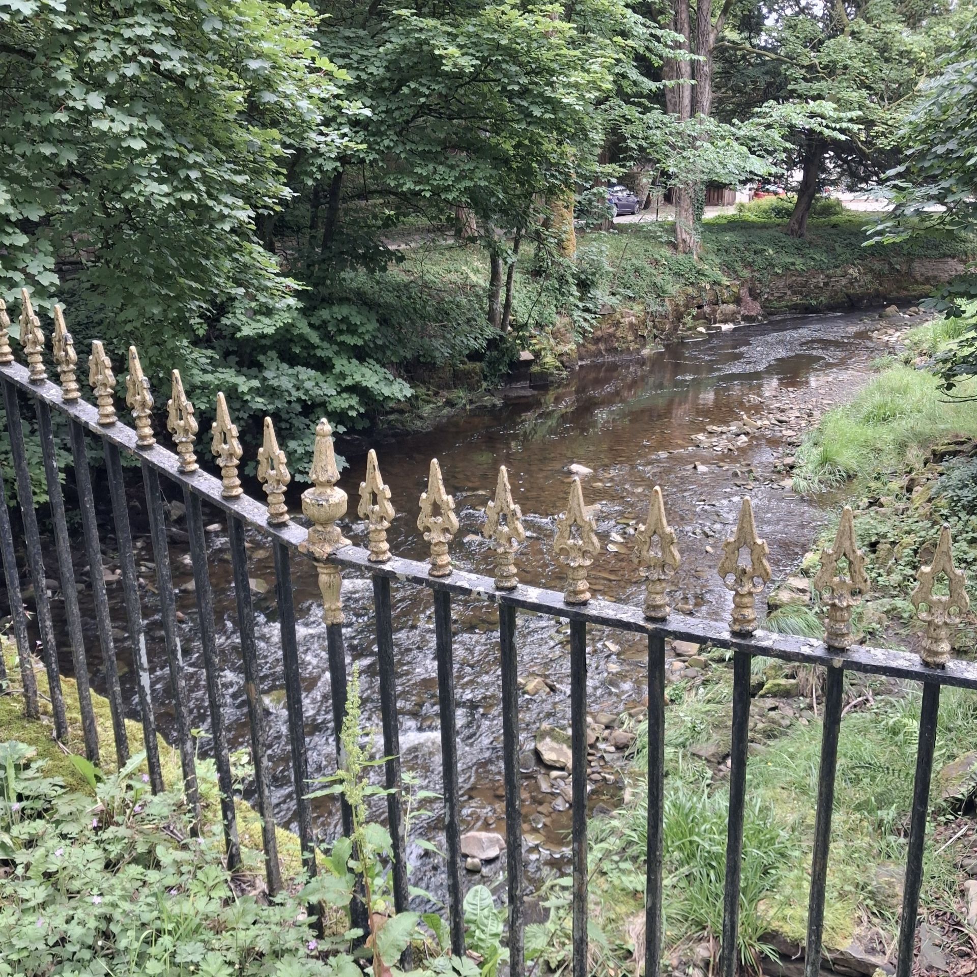 River Next at Lovelady Shield